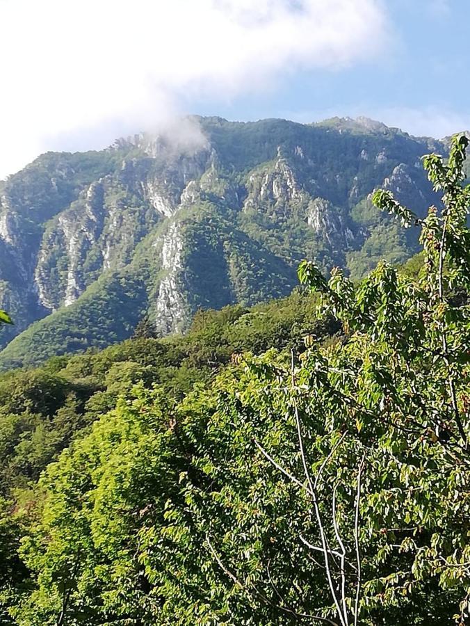 Antica Casa Ortensia Riva del Garda Eksteriør billede