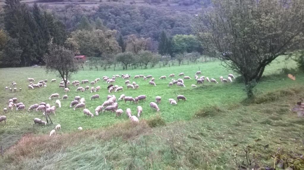 Antica Casa Ortensia Riva del Garda Værelse billede