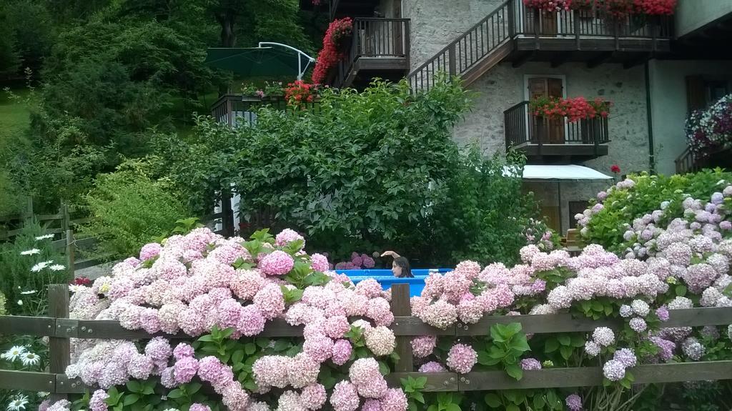Antica Casa Ortensia Riva del Garda Værelse billede
