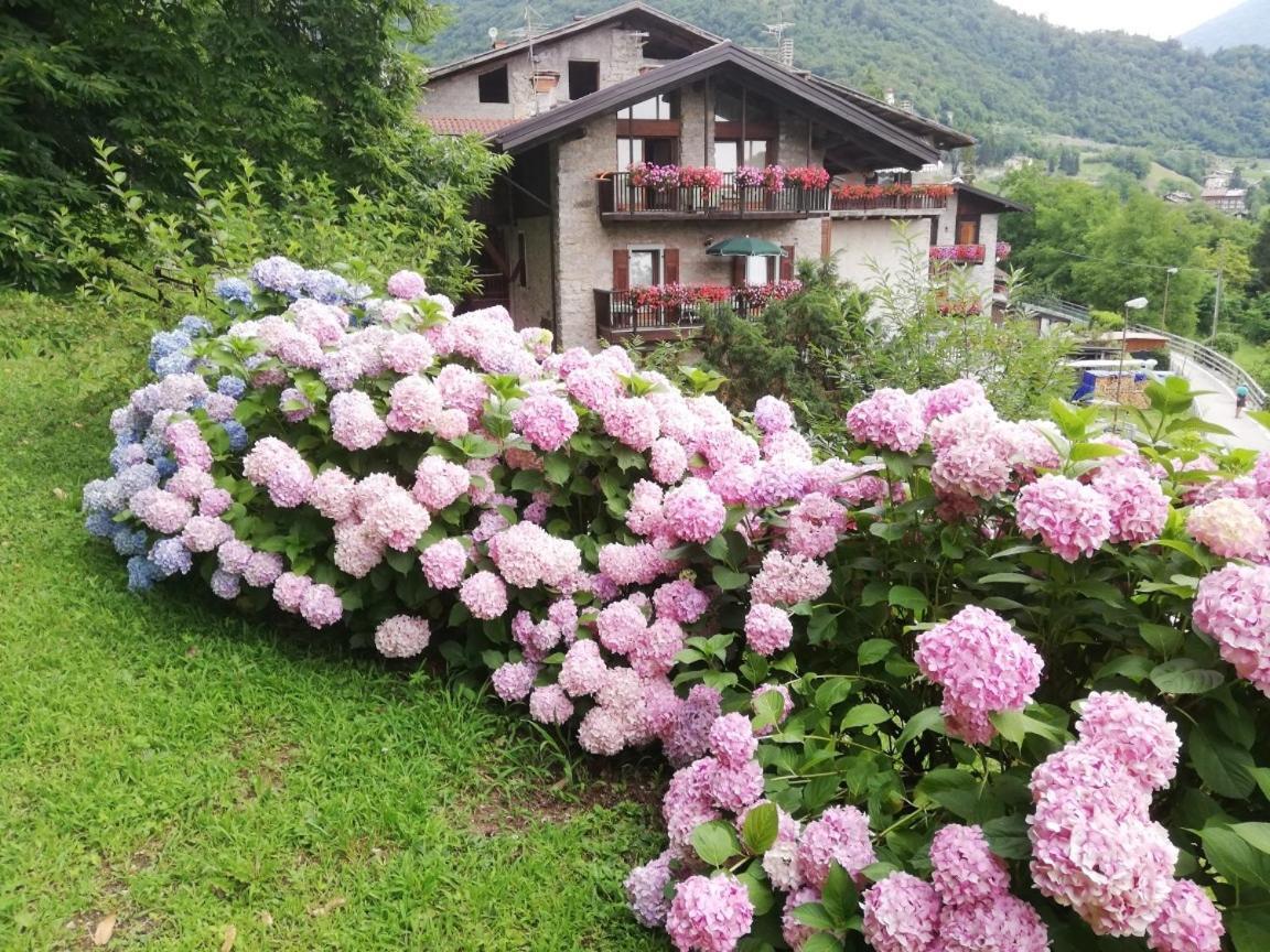 Antica Casa Ortensia Riva del Garda Eksteriør billede